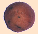 bolinho_padrao